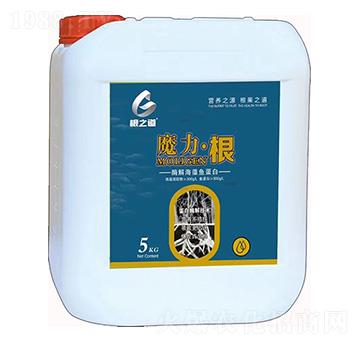 ø�⺣���~����-ħ������-��֮��