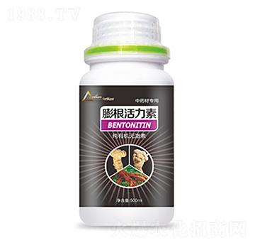 ��ˎ�Č������������-