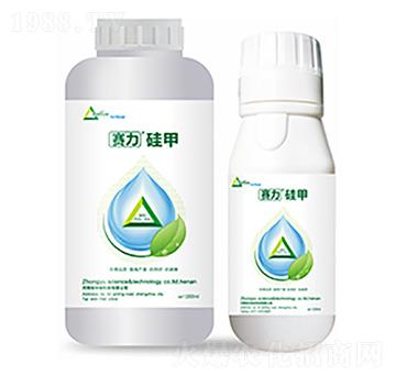 ِ�����-�����Ƽ�