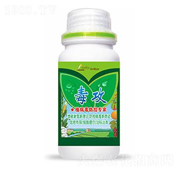 ����-�����Ƽ�