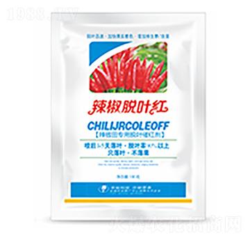 ����Ó�~�t-�����Ƽ�