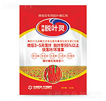 Ó�~�`-�����Ƽ�