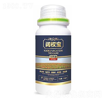 �辌�-�����Ƽ�