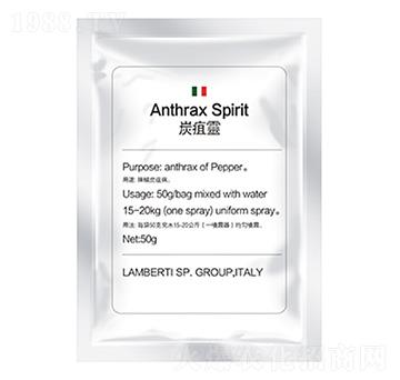 ̿���`-�����Ƽ�