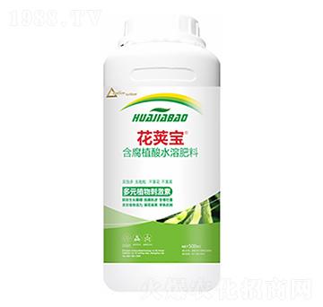 �󶹻�Ӣ��-�����Ƽ�