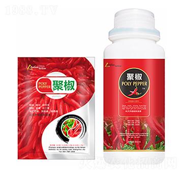 �۽�-��ԣ�Ƽ�