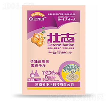 ��־-�����Ƽ�