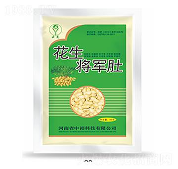 ������܊��-�����Ƽ�