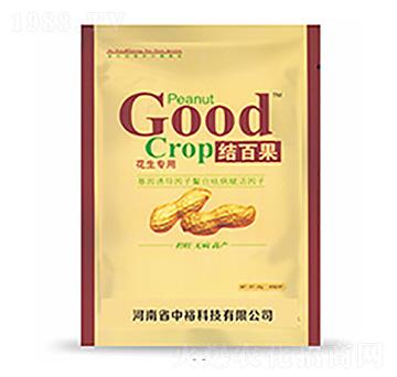 �Y(ji��)�ٹ�-�����Ƽ�