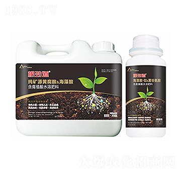 ���ŵ�-�����Ƽ�