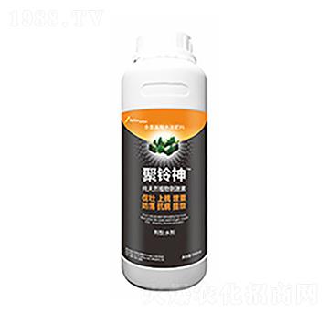 �����-�����Ƽ�