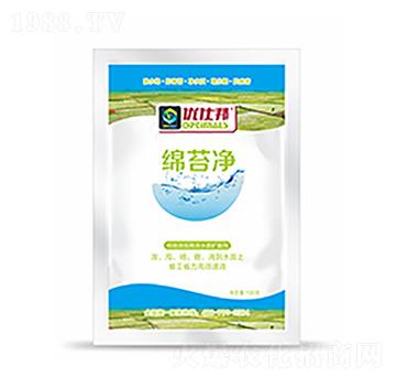 �d̦��-�����Ƽ�