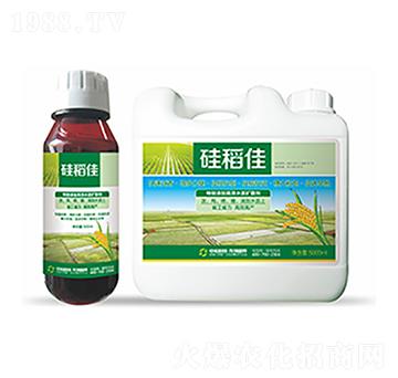 �赾��-�����Ƽ�