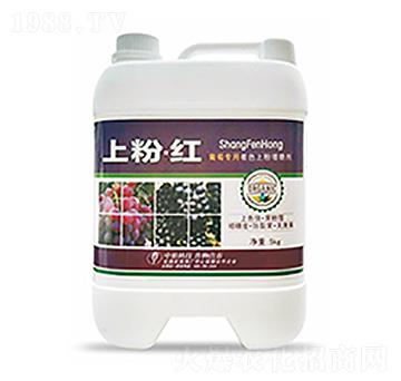 �Ϸۡ��t-�����Ƽ�