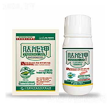 �����-�����Ƽ�