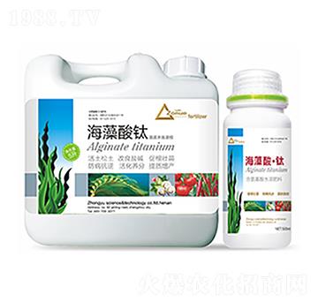 �������-�����Ƽ�