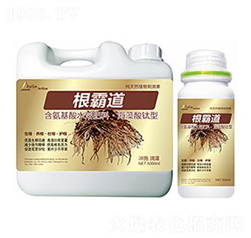 ���Ե�-�����Ƽ�