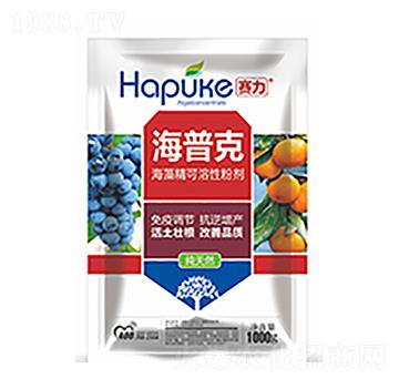 ِ�����տ�-�����Ƽ�