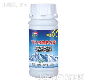 超濃縮型TR+植物防凍液-天葉生物