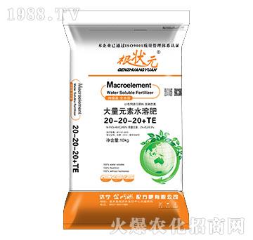 大量元素水溶肥20-20-20+TE-根狀元-金網聯(lián)