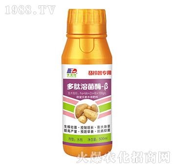 �R��팣�ö����ܾ�ø-��-���~����