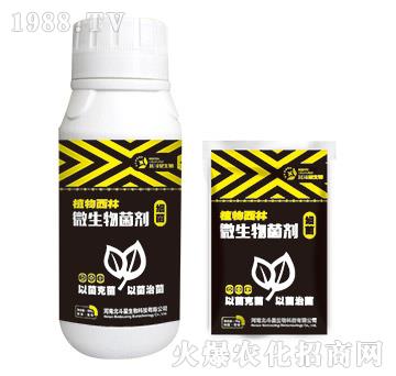 ��������΢�������-ֲ������-������