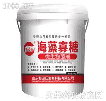 �������-����������