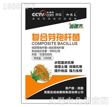 ��(f��)��ѿ�ߗU��-��ɭ��