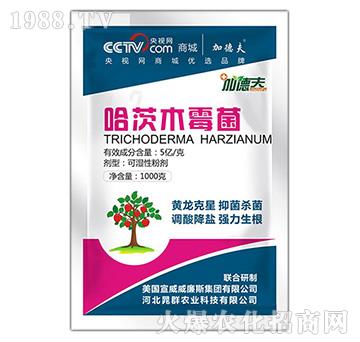 ����ľù��-��ɭ��