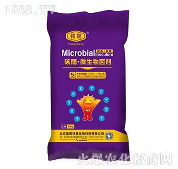 5億活菌碳酶·微生物菌劑-泉霖銘晟