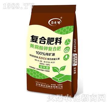 �S����⛏�(f��)�Ϸ�18-6