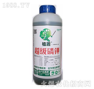 �������-ֲ��-� ���