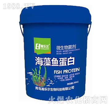 ΢�������-�����~����