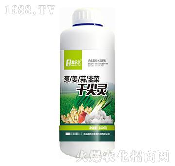 �ɼ��`-嫘���