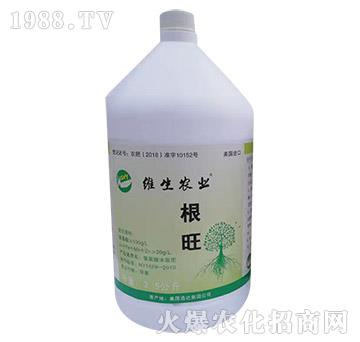 ����-�S���r(n��ng)�I(y��)