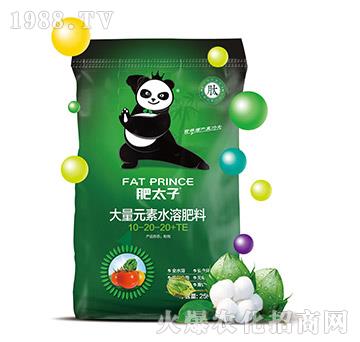 大量元素水溶肥料10-20-20+TE-肥太子