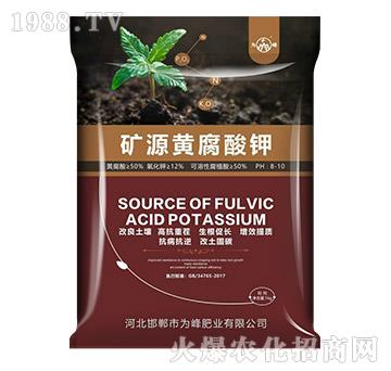 �VԴ�S�����-���