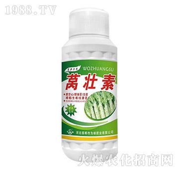 �n����-���