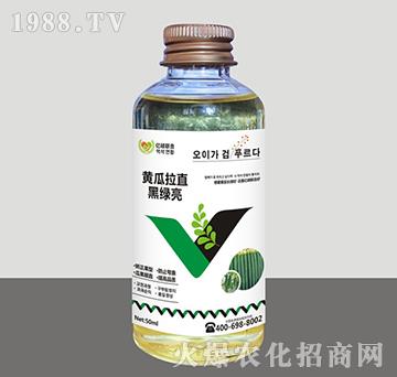 黃瓜拉直黑綠亮-匯豐植保