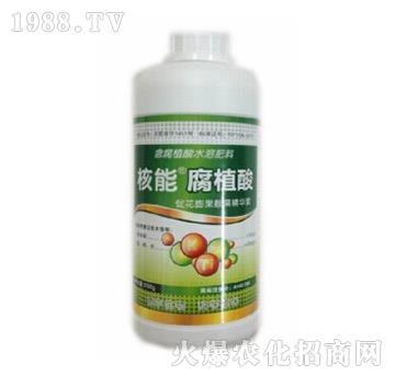 ��ֲ��-����-� �����