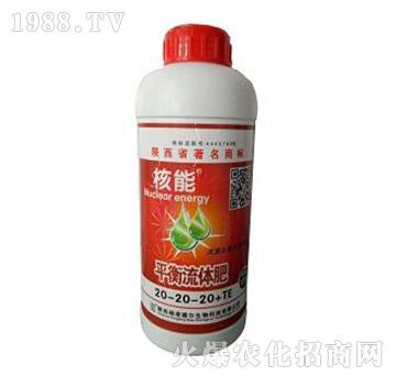 ����ƽ�����w��20-2