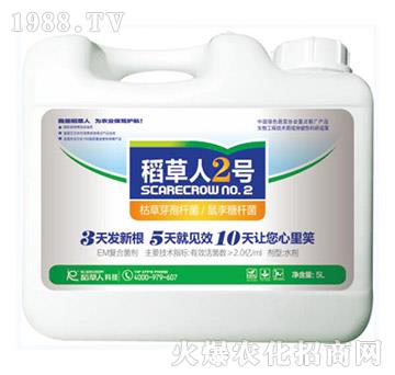 �ݲݡ������ǗU��-������2̖-������