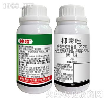 22.2%��ù��-��Խ-�|������