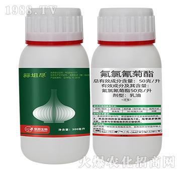 50��ÿ�����������-�{�o�M-�S�՘�