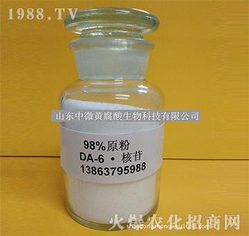 DA-6-��΢