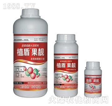 ���n-ֲ��-� �����