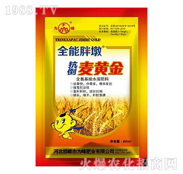 �������S��-ȫ���ֶ�-