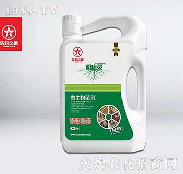 ΢�������-�����`-��