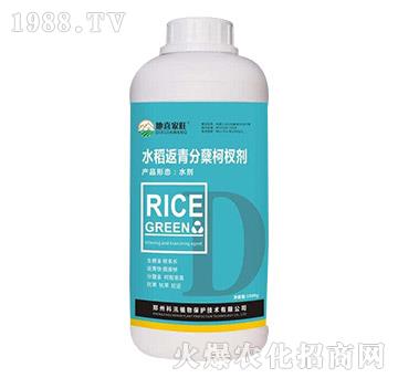 水稻返青分蘗柯杈肥-地喜家旺-科汛