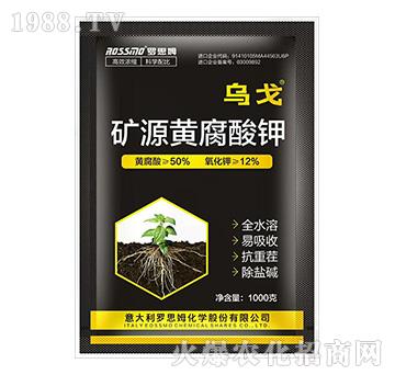 �VԴ�S�����-����-ľ�̼ь�